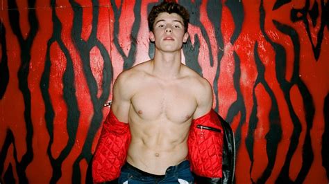 nick champa naked|Shawn Mendes finally comes out